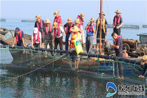 助推现代生态渔业发展 长岛大钦岛乡举行渔业科技